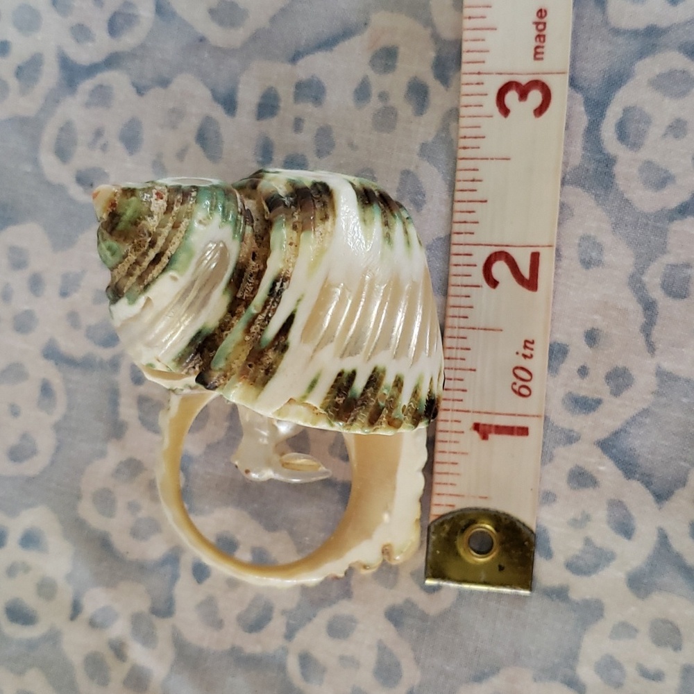 Carved Seashell with Rabbit - Picture 12 of 15